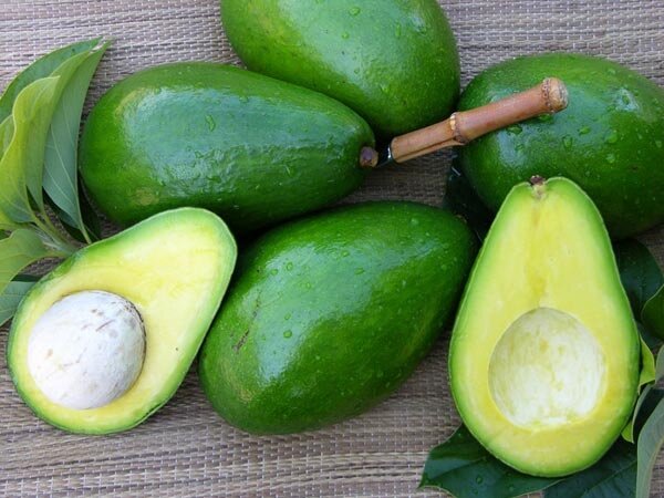 В Пафосе у фермера украли авокадо общей  стоимостью 2000 евро