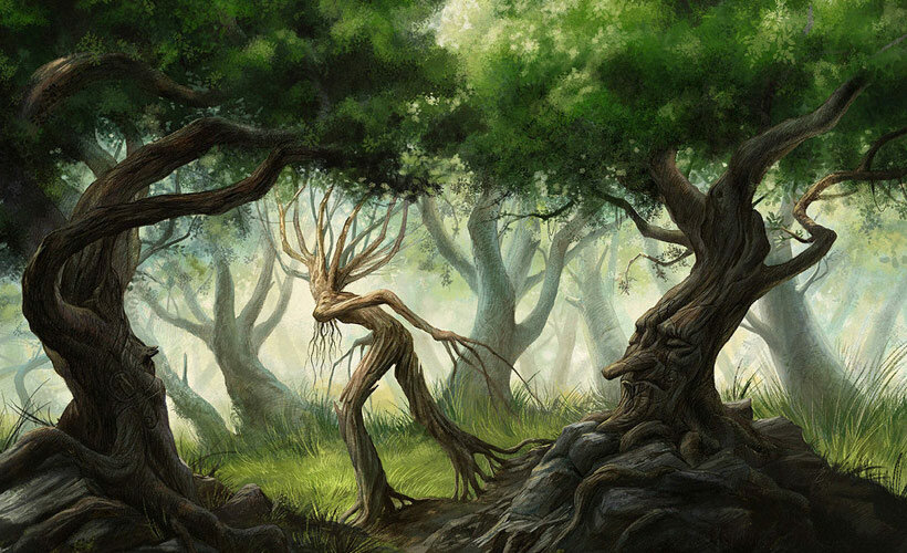 Тайны старейших деревьев Кипра