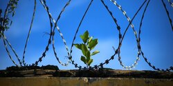 Кто выйдет на свободу из кипрской тюрьмы по амнистии?