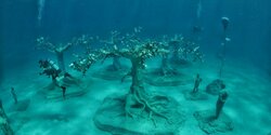 Ура! На Кипре открылся музей подводных скульптур