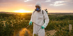 Кипр — лидер по продажам пестицидов