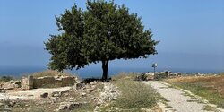 Отели Кипра страдают из-за нехватки российских туристов