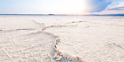 Соленое озеро Ларнаки притягивает не только розовых фламинго