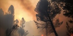 Кипр ждет жаркая погода и вероятность пожаров