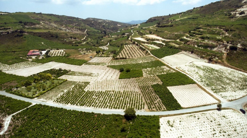 Не пропустите! На Кипре открывается новая винодельня: фото 3