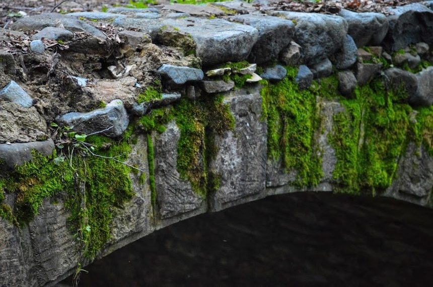 Средневековый мост на природной тропе Милия: фото 28