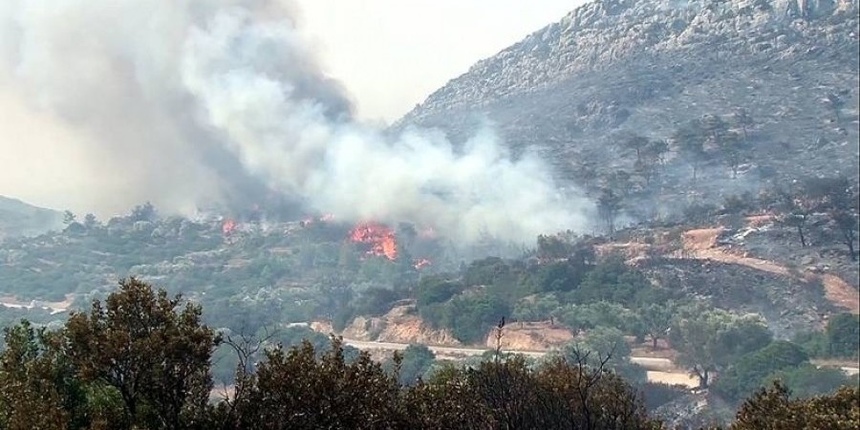 В кедровой долине Пафоса произошел пожар: фото 2