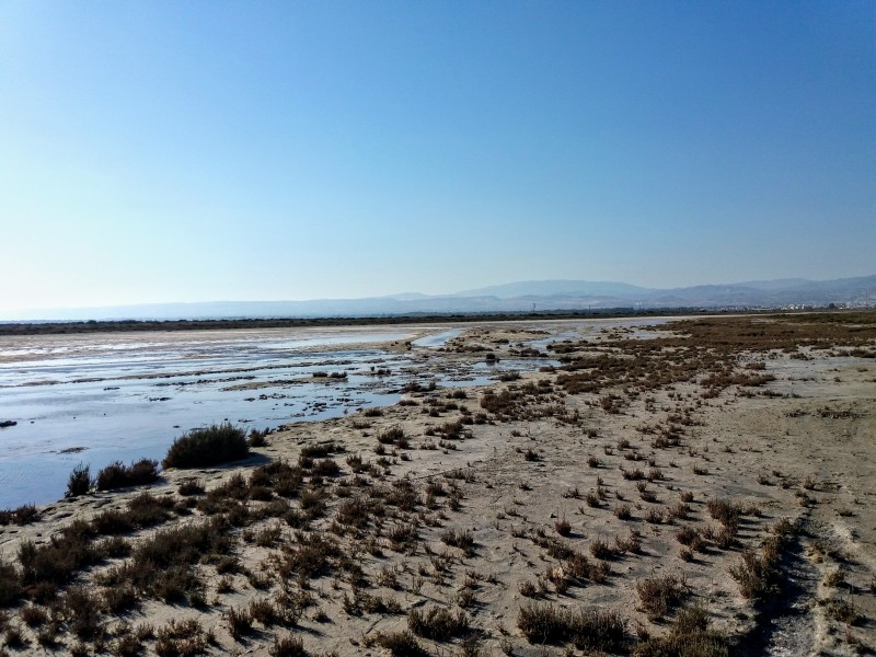 Лимассольское соленое озеро (то, которое на Акротири): фото 7