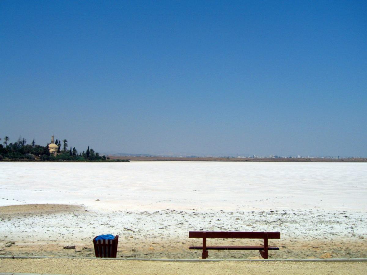 Соленое озеро в Ларнаке: фото 2