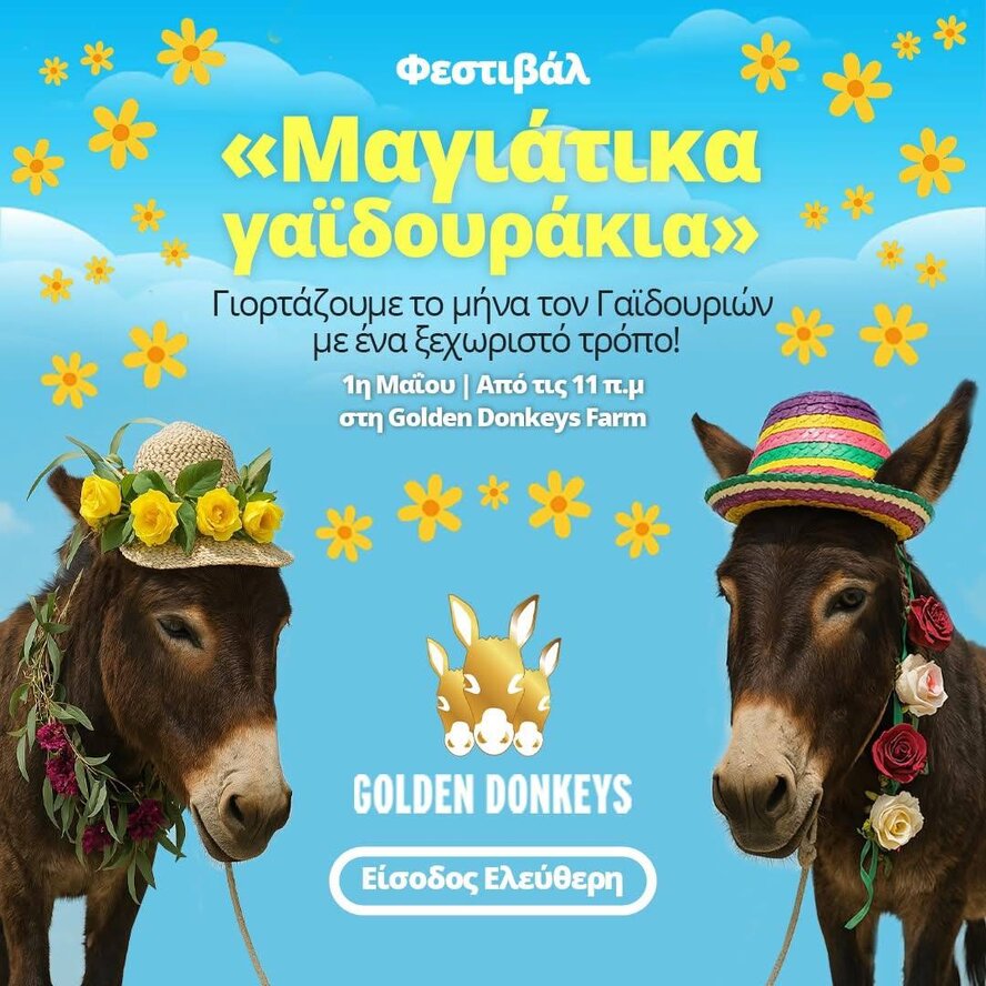 Ежегодный фестиваль Майские ослики
