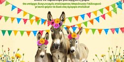 Праздник майских осликов 