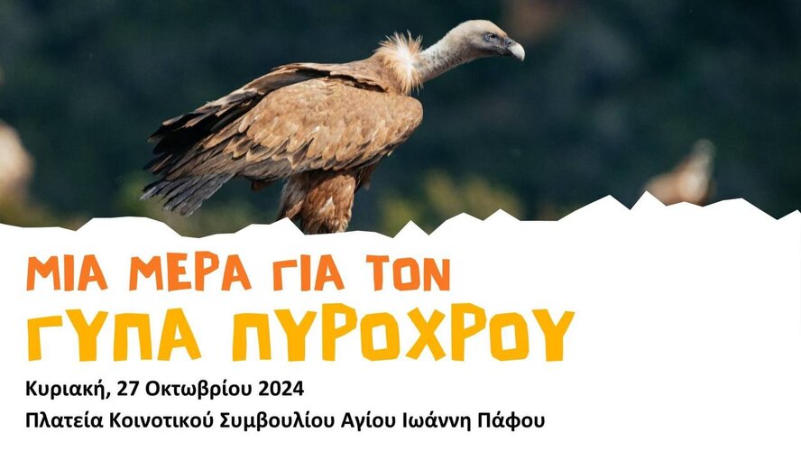 Выставка о жизни грифов