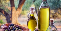Кипрское оливковое масло - лекарство от всех болезней