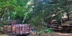 Лесная зона для пикника в кипрской деревушке Агридия - отличное место для отдыха на природе!