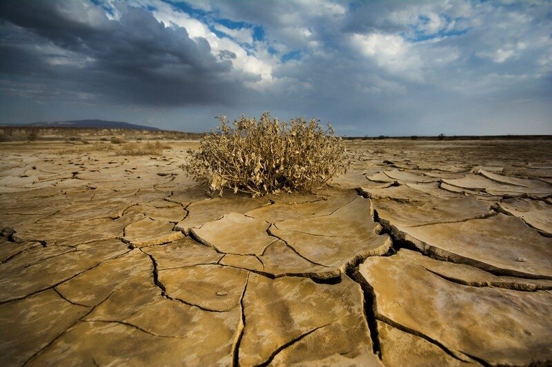 Кипрской экономике грозит гибель от изменения климата