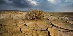 Кипрской экономике грозит гибель от изменения климата