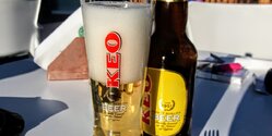 На Кипре растет экспорт и внутреннее потребление пива