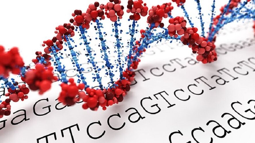Кипрские ученые проникли в тайны ДНК и смогут лечить редкие заболевания