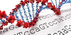 Кипрские ученые проникли в тайны ДНК и смогут лечить редкие заболевания
