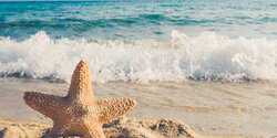 Пляжам Кипра присвоят звезды