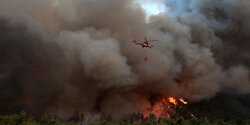 Пожары в Акамасе вывели из себя защитников природы