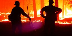 Кипр ищет способы защиты от лесных пожаров 