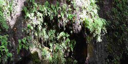Пещеры со сталактитами на берегах реки Диаризос на Кипре (Фото и видео)