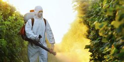 Кипр занял второе место  в ЕС по минимальному количеству закупаемых пестицидов