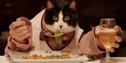 В Ларнаке откроются «столовые» для бездомных кошек