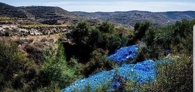 На Кипр надвигается экологическая катастрофа