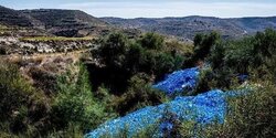 На Кипр надвигается экологическая катастрофа