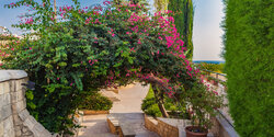 Като Вриси - легендарное место на Кипре, где располагались Священные сады богини Афродиты