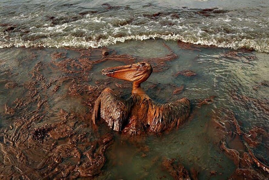 Катастрофа! У берегов Лимассола произошла утечка нефти