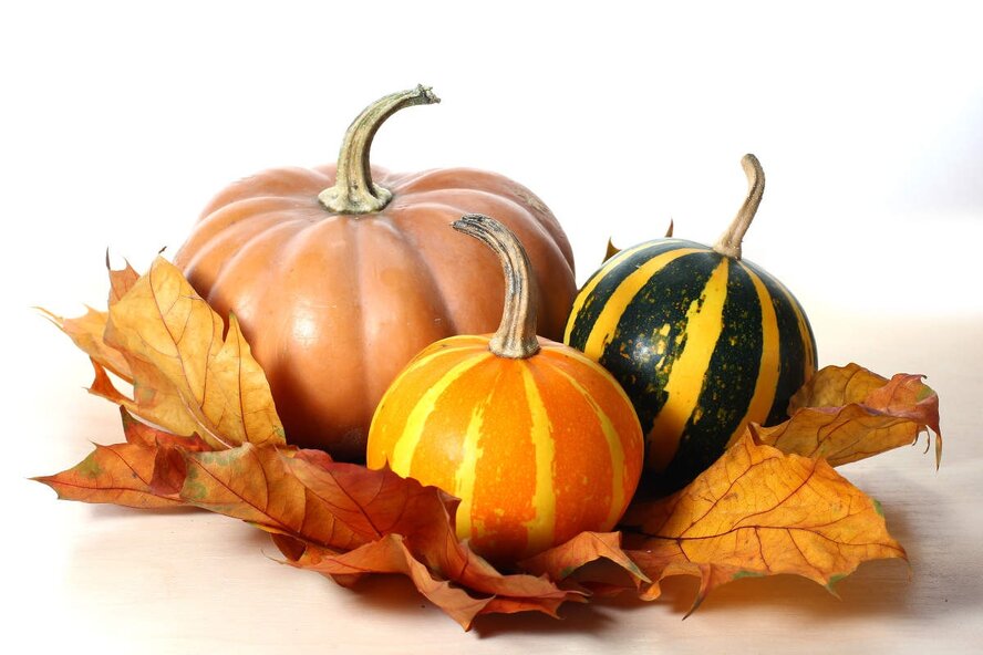 Осенние краски на столе: подборка лучших рецептов из тыквы