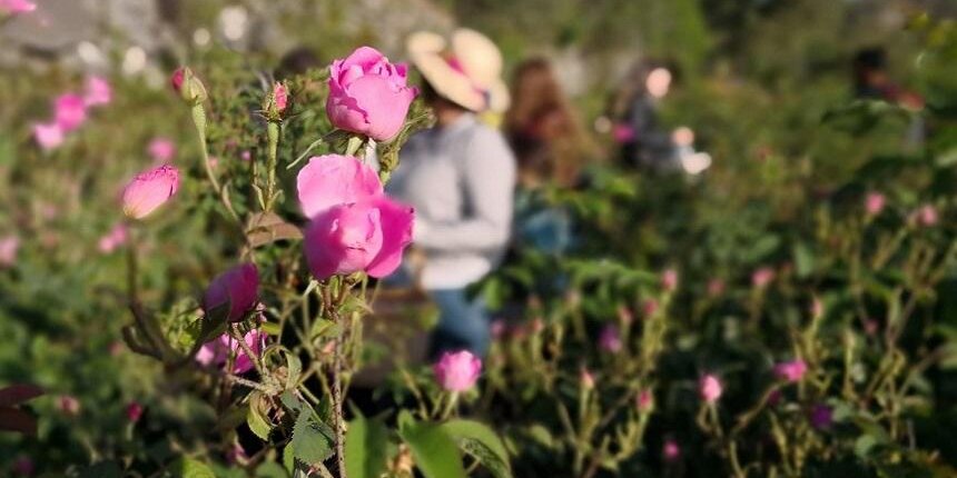 Кипрская деревушка Агрос, наполненная ароматами роз!