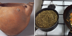 Как питались древние киприоты? Готовим суп бронзового века