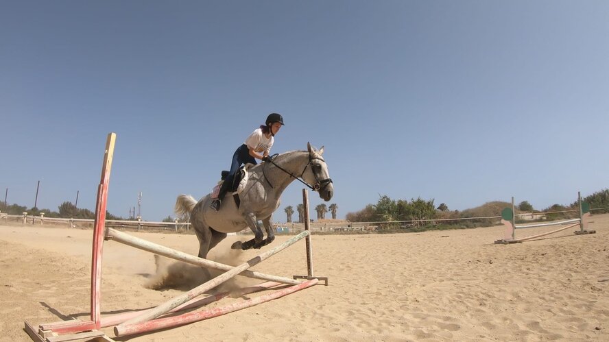 Берем бразды правления: прыжок в мир конного спорта Кипра