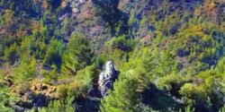 «Каменный человек», затаившийся в лесу Пафоса (фото)