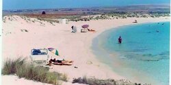 Nissi Beach в Айя-Напе на Кипре