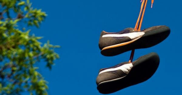 Странное «обувное» дерево в Лимассоле (фото)