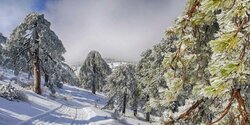 Зима и снег на Кипре (лучшие фото)