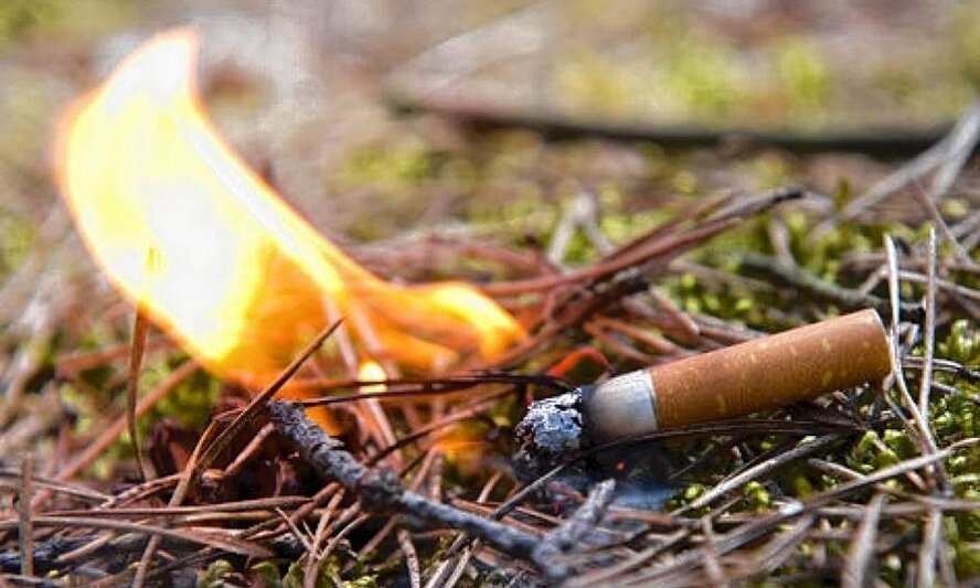 Пожарная служба Кипра объявила войну курильщикам!