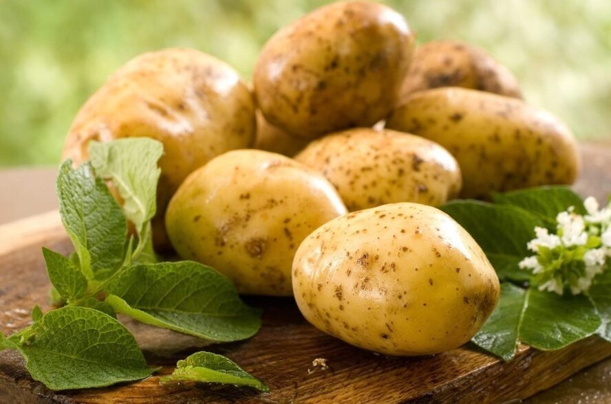 Греческие торговцы выдают местный картофель за кипрский