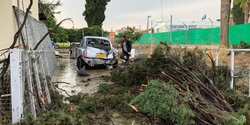 Летающие деревья и разбитые дома на Кипре!