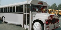 Новые автобусы Кипра попали под расследование
