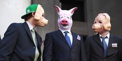 Кипр за неделю: политики, коронавирус и другие животные. О свиньях и свинстве