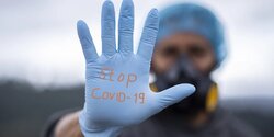 ВОЗ прекратила изучать «российский» штамм коронавируса