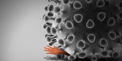 Ученые выяснили, что коронавирус может запускать самоатакующие антитела