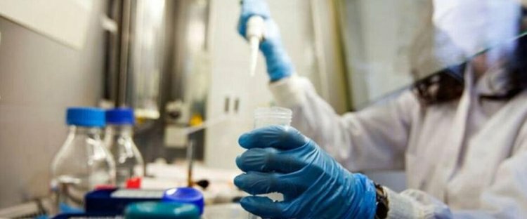 На Кипре обнаружены четыре новых комбинированных штамма ВИЧ-1