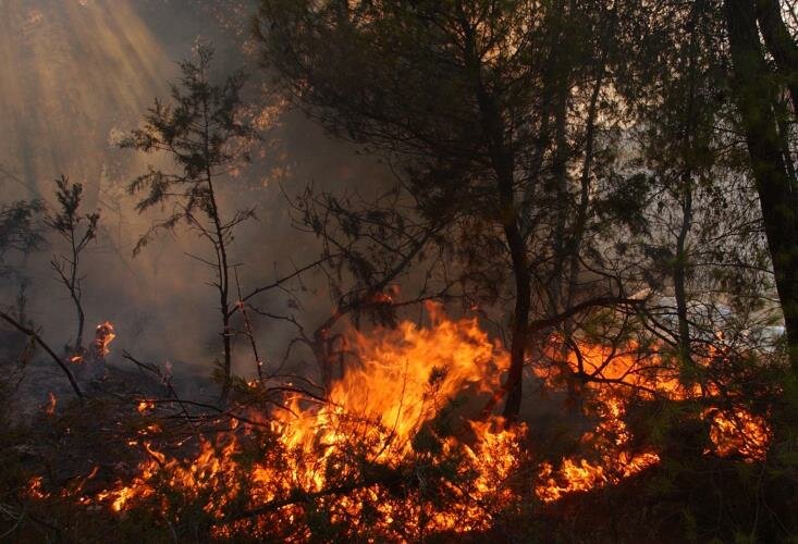 Крупный пожар на Кипре